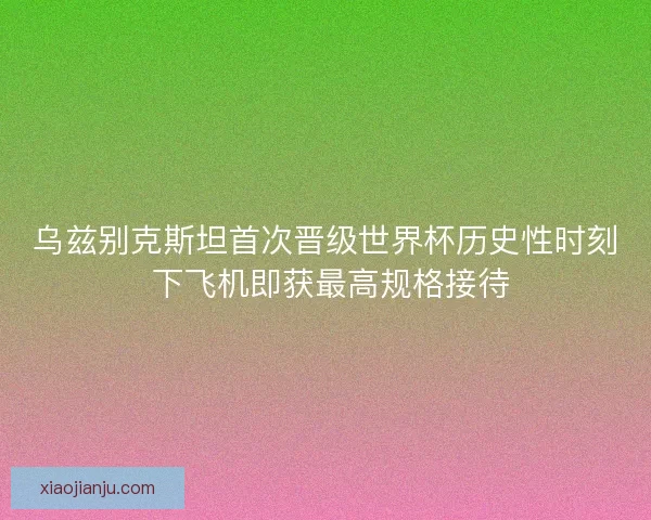 乌兹别克斯坦首次晋级世界杯历史性时刻 下飞机即获最高规格接待