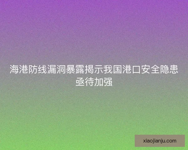 海港防线漏洞暴露揭示我国港口安全隐患亟待加强